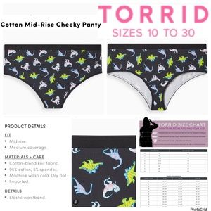 🌟🌟🌟Torrid 6 plus size dinosaurs cotton midrise cheeky panty NWT